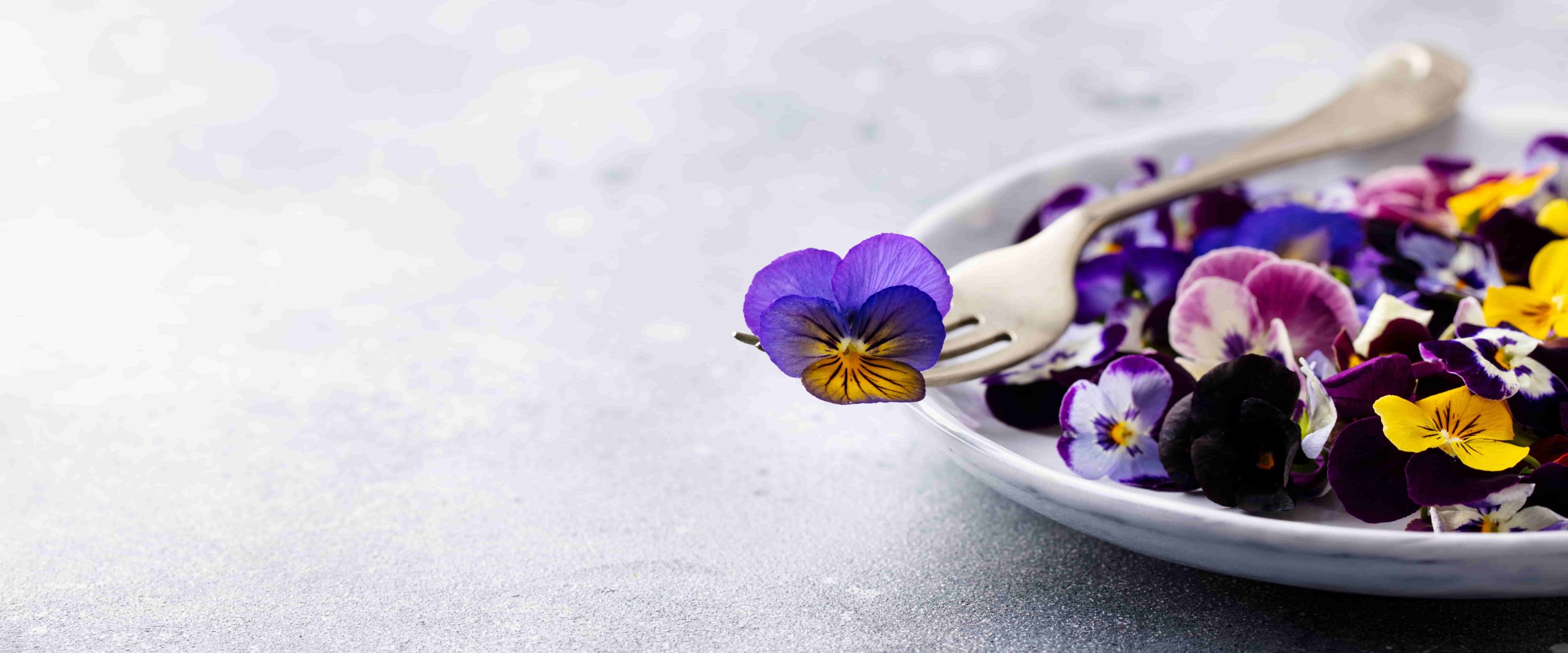 Fleurs Séchees Comestibles : 5 Recettes Originales - CFA Espace