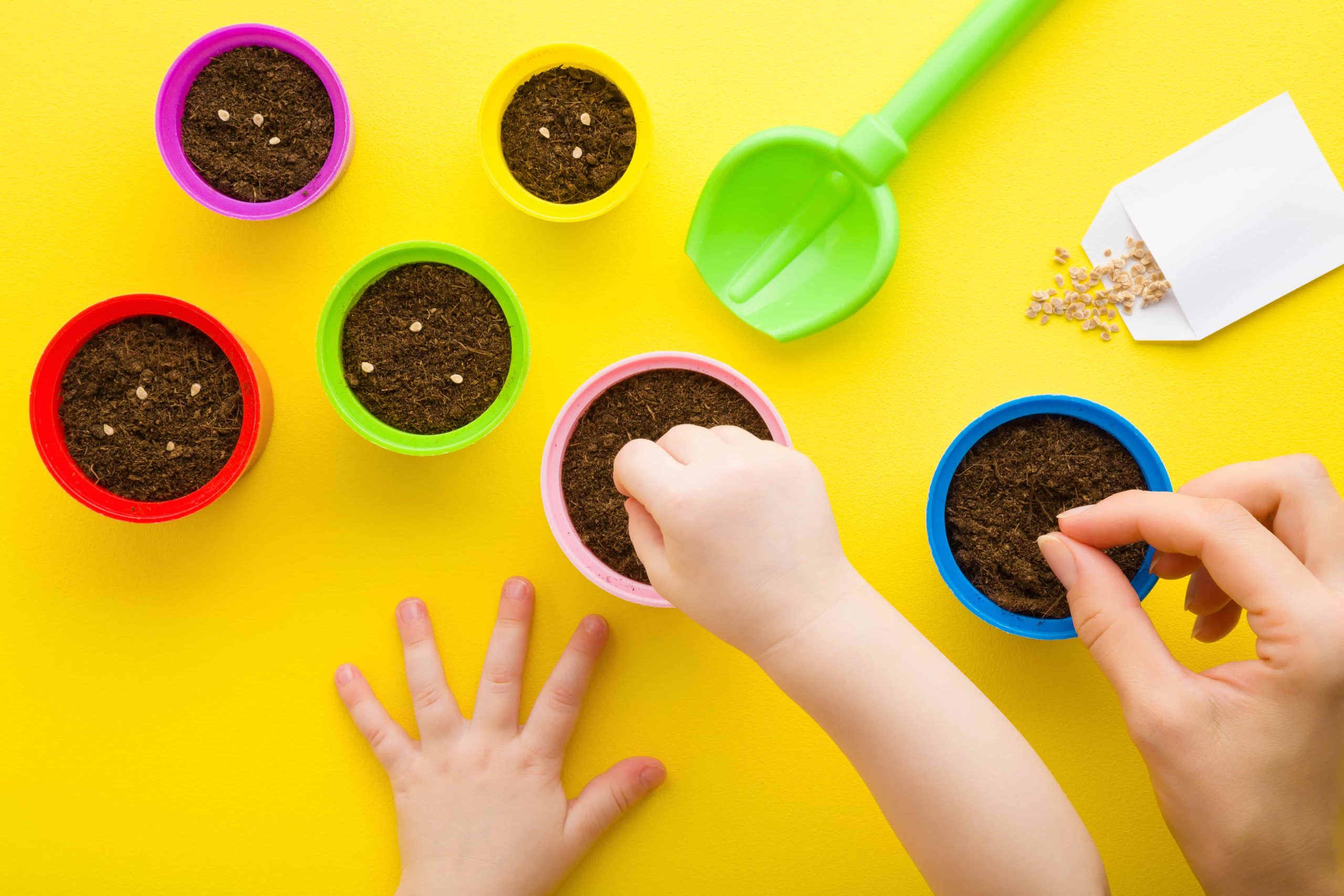 activité jardinage crèche