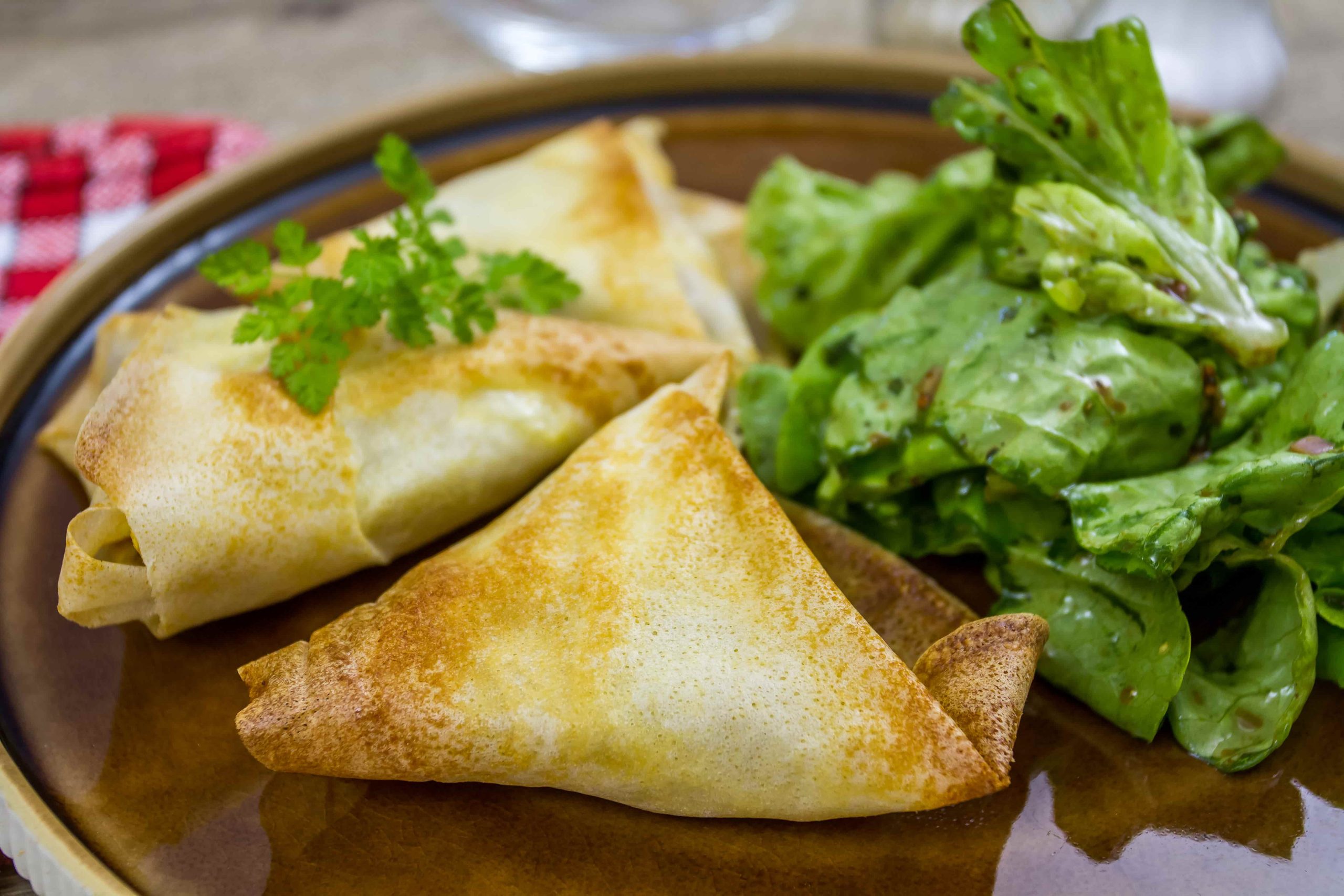 samoussa-vegetarien (2)
